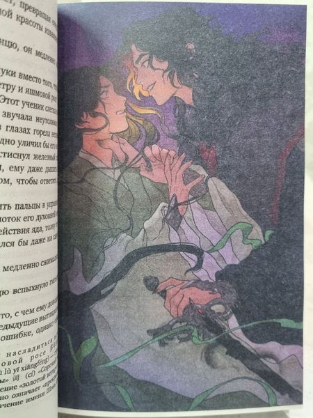 Книга "Система "Спаси-Себе-Сам" для головного лиходія 2" Мосян Тунсю (З ілюстраціями) 677543833 фото